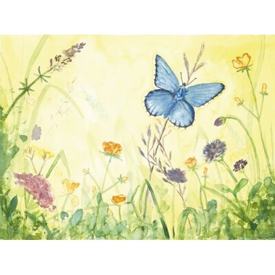 Karin Greisner. Schmetterling auf einer Wiese