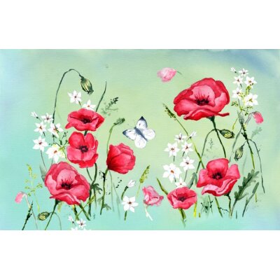 Karin Greisner. Mohnblumen auf einer Wiese