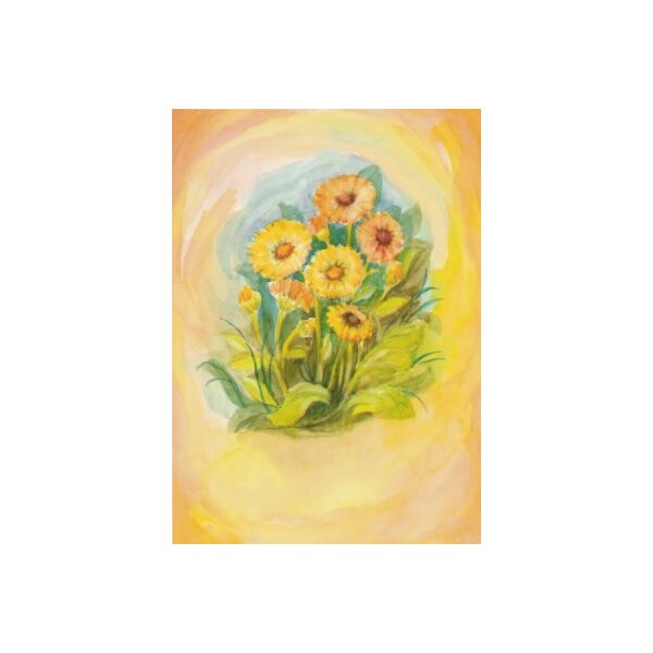 Margret von Borstel. Ringelblume