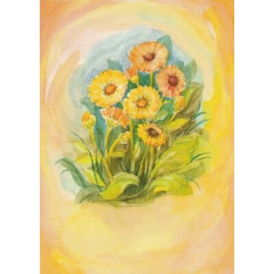 Margret von Borstel. Ringelblume