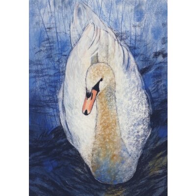 Loes Botman. Schwebender Schwan