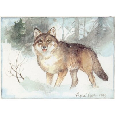 Ingvar Björk. Wolf