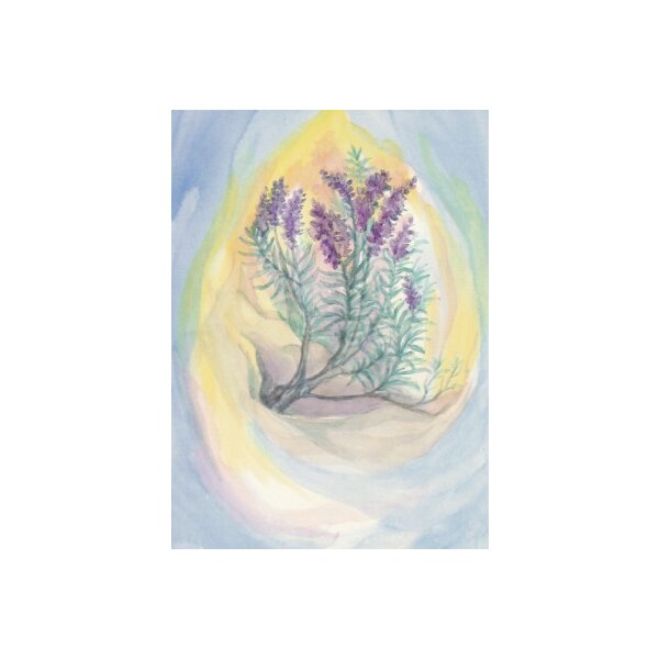 Margret von Borstel. Lavendel