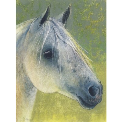 Loes Botman. Pferdekopf, 2014 Pastell