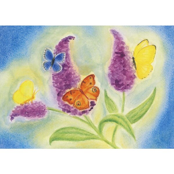 Heike Stinner. August, Schmetterlingsflieder