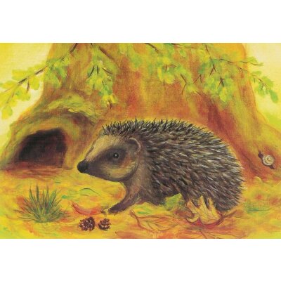 Heike Stinner. Igel