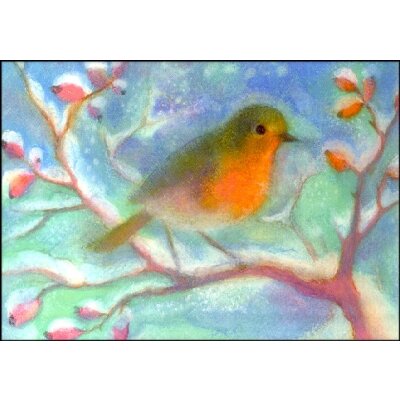 Angela Koconda. Rotkehlchen im Winter