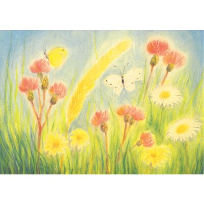 Erika Hoffmann. Klee, Margeriten und Schmetterlinge