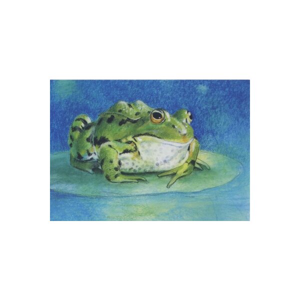 Loes Botman. Frosch, Kröte