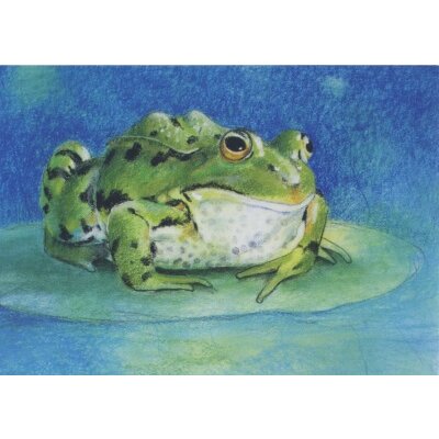 Loes Botman. Frosch, Kröte