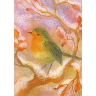 Koconda, A. Rotkehlchen im Hagebuttenstrauch