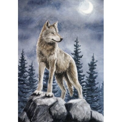 Raphaela Berendt. Der Wolf