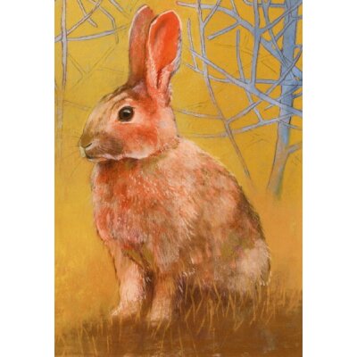Loes Botman. Kaninchen