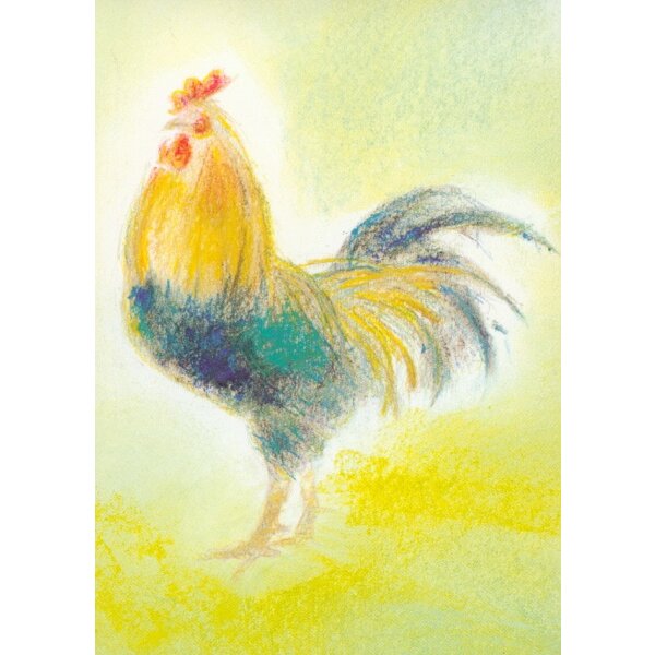 Grills, C. Meine Tiere 8, Hahn