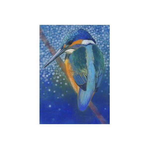 Loes Botman. Eisvogel, 2014 Pastell