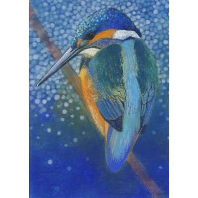 Loes Botman. Eisvogel, 2014 Pastell
