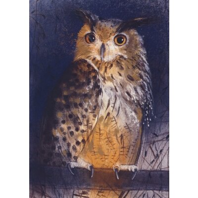 Loes Botman. Waldohreule