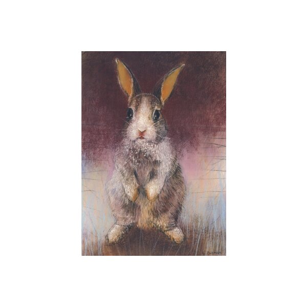 Loes Botman. Kaninchen, 2015 Pastell