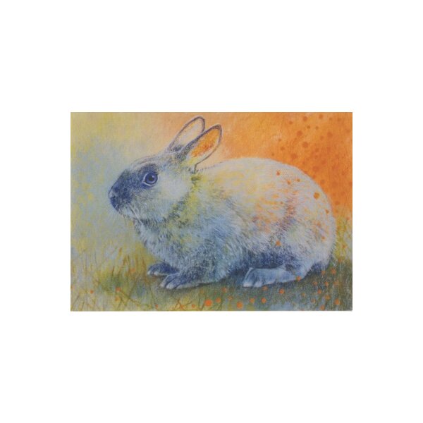 Loes Botman. Kaninchen
