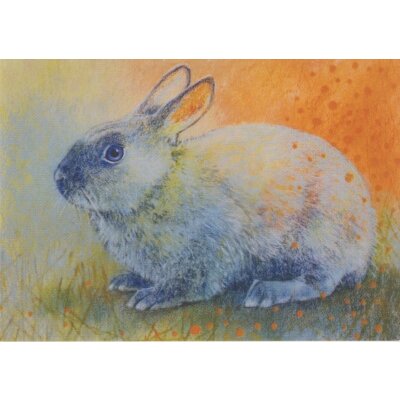 Loes Botman. Kaninchen