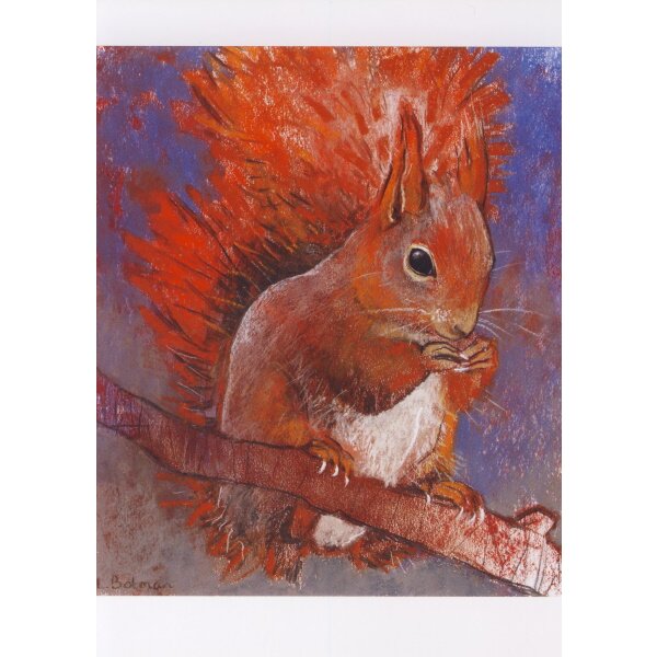 Loes Botman. Eichhornch