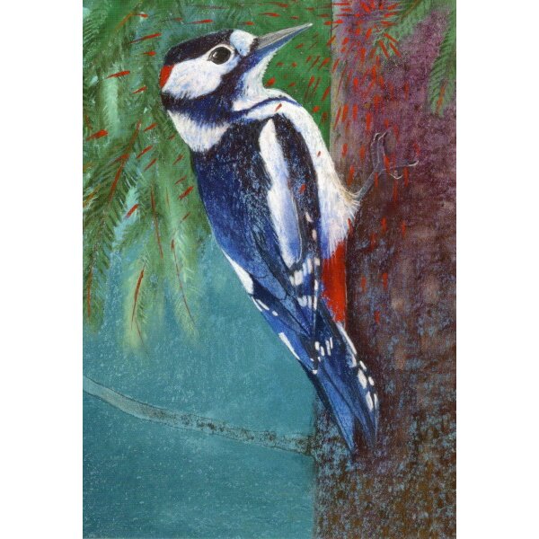 Loes Botman. Buntspecht