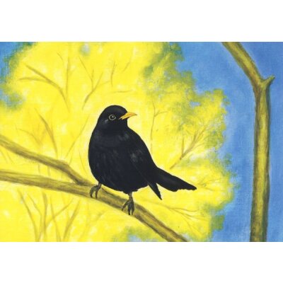 Heike Stinner. Amsel