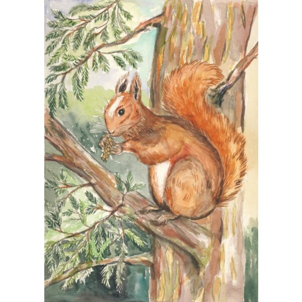 Anne C. Wenzel. Eichhörnchen, 2009. KK
