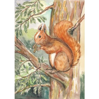 Anne C. Wenzel. Eichhörnchen, 2009. KK