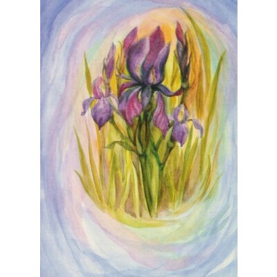 Margret von Borstel. Iris