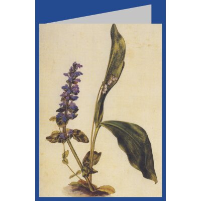 Albrecht Dürer. Maiglöckchen und Günsel.