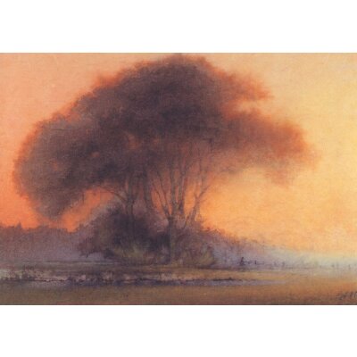 Hans Geissberger. Bäume im Abendlicht