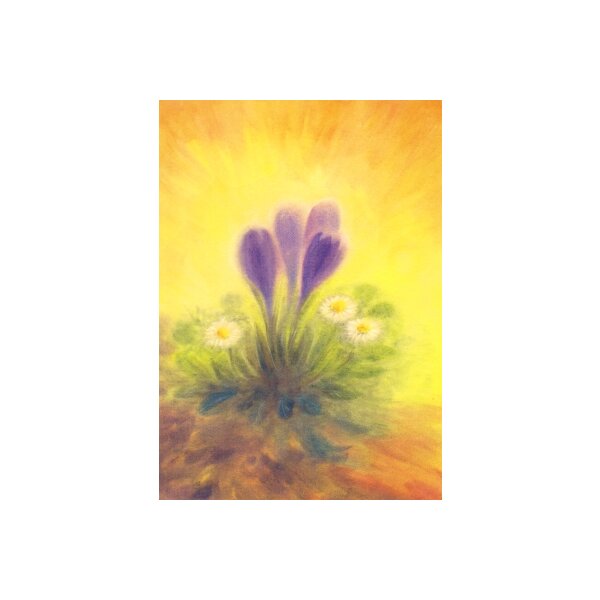 Erika Hoffmann. Krokus und Gänseblümchen