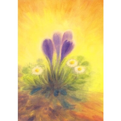 Erika Hoffmann. Krokus und Gänseblümchen