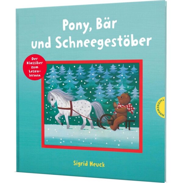 Pony, Bär und Schneegestöber