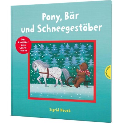 Pony, Bär und Schneegestöber