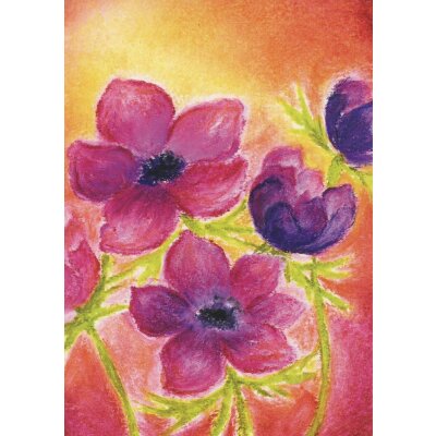Baukje Exler. Anemoon. Anemone