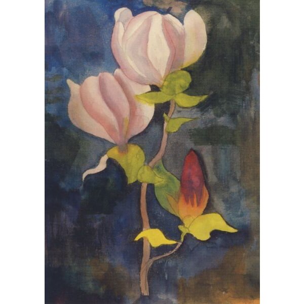Hermann Hesse. Magnolienblüte, Mai 1928