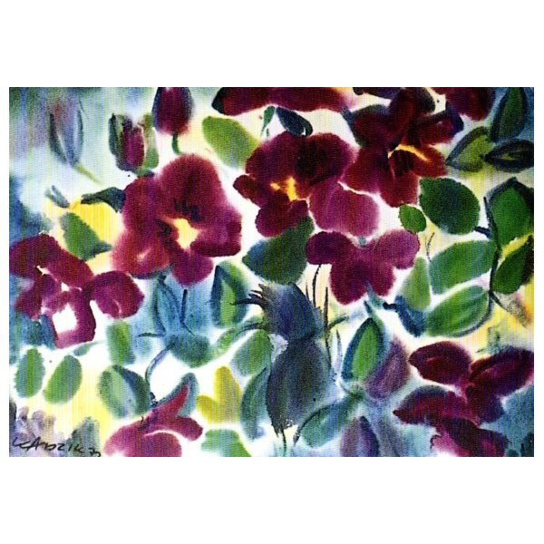 Gerd Kadzik Clematis