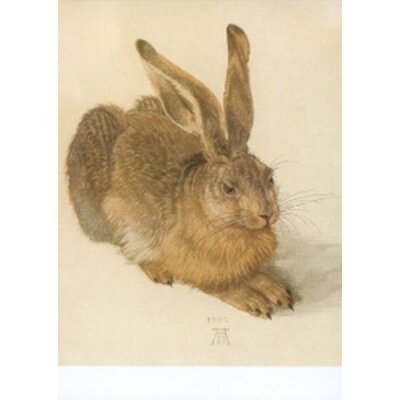 Albrecht Dürer. Feldhase, 1502