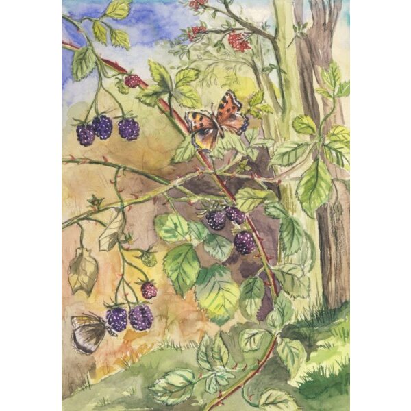 Anne C. Wenzel. Brombeeren