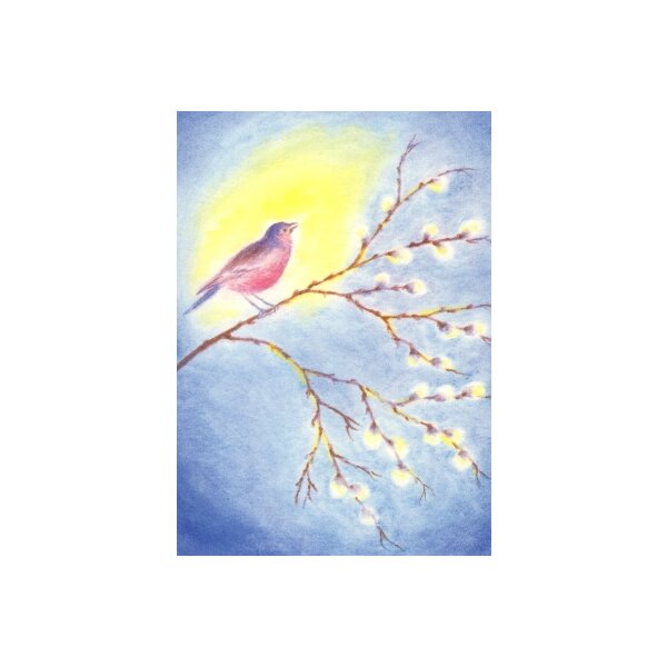Erika Hoffmann. Vogel auf Kätzchenzweig