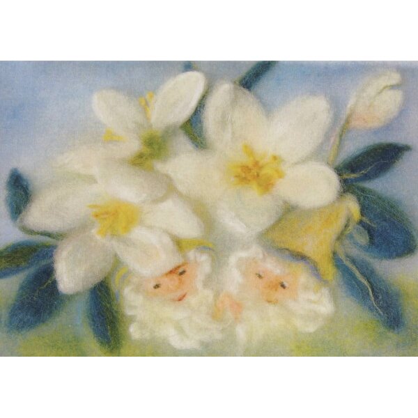 Franziska Kopp. Christrose