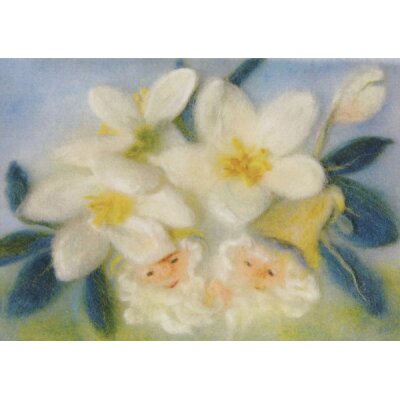 Franziska Kopp. Christrose