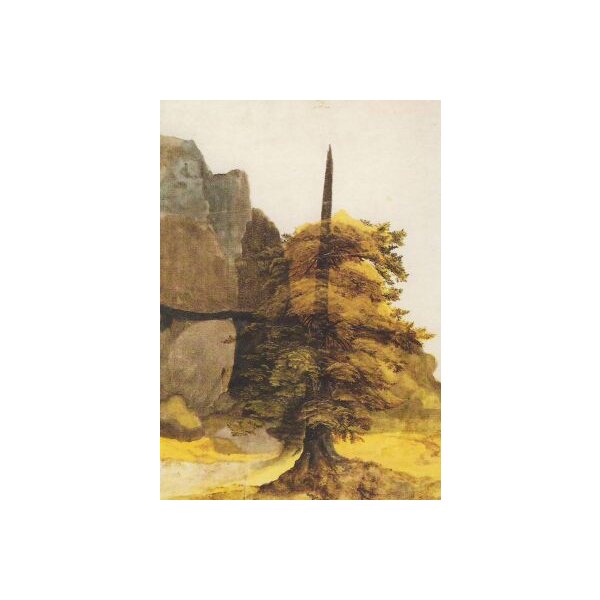 Albrecht Dürer. Baum im Steinbruch. KK