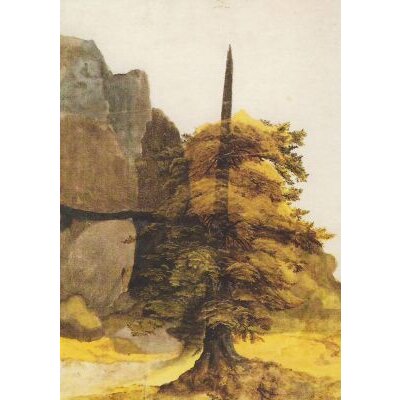 Albrecht Dürer. Baum im Steinbruch. KK