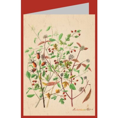 Anna Malten (Lübsee). Heckenherbst, 2006. DK