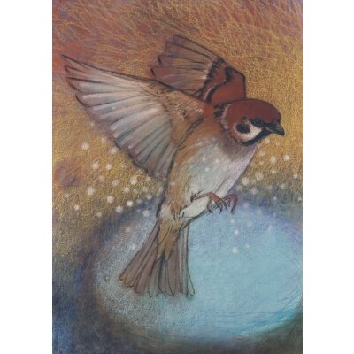 Loes Botman. Haussperling (Spatz), 2015 Pastell