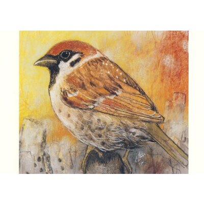 Loes Botman. Spatz