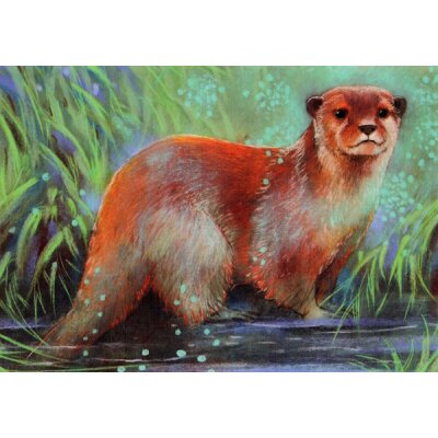 Loes Botman. Otter
